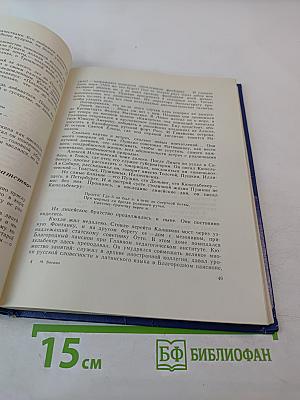 На берегах Невы