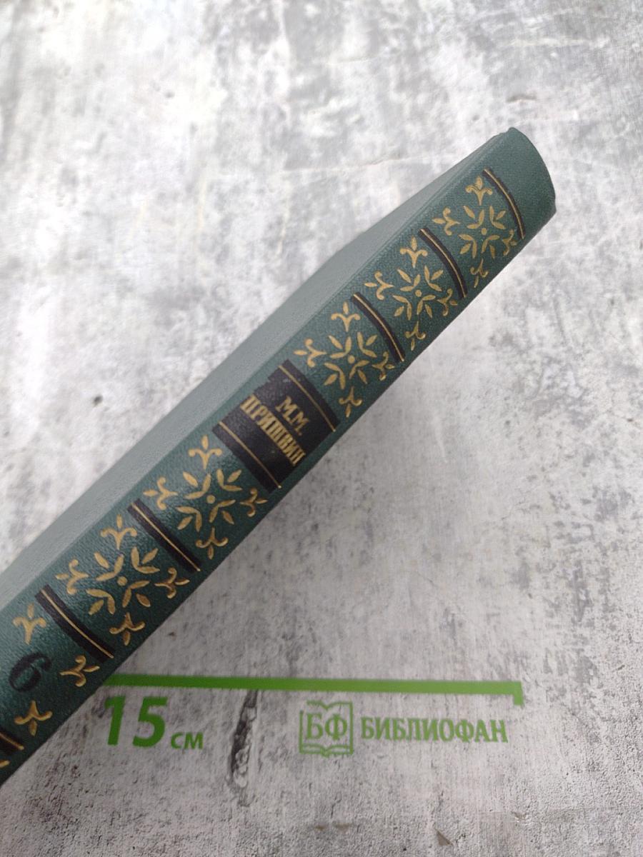 Собрание сочинений. Том шестой: Осударева дорога. Корабельная чаща