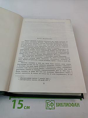 Поднятая целина. Судьба человека