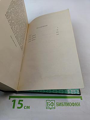 Твоя навеки, Эмбер