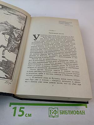 Железом и кровью