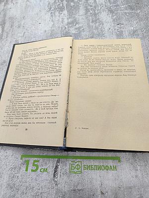 Звезды над Самаркандом. Костры походов. Роман. Вторая книга.