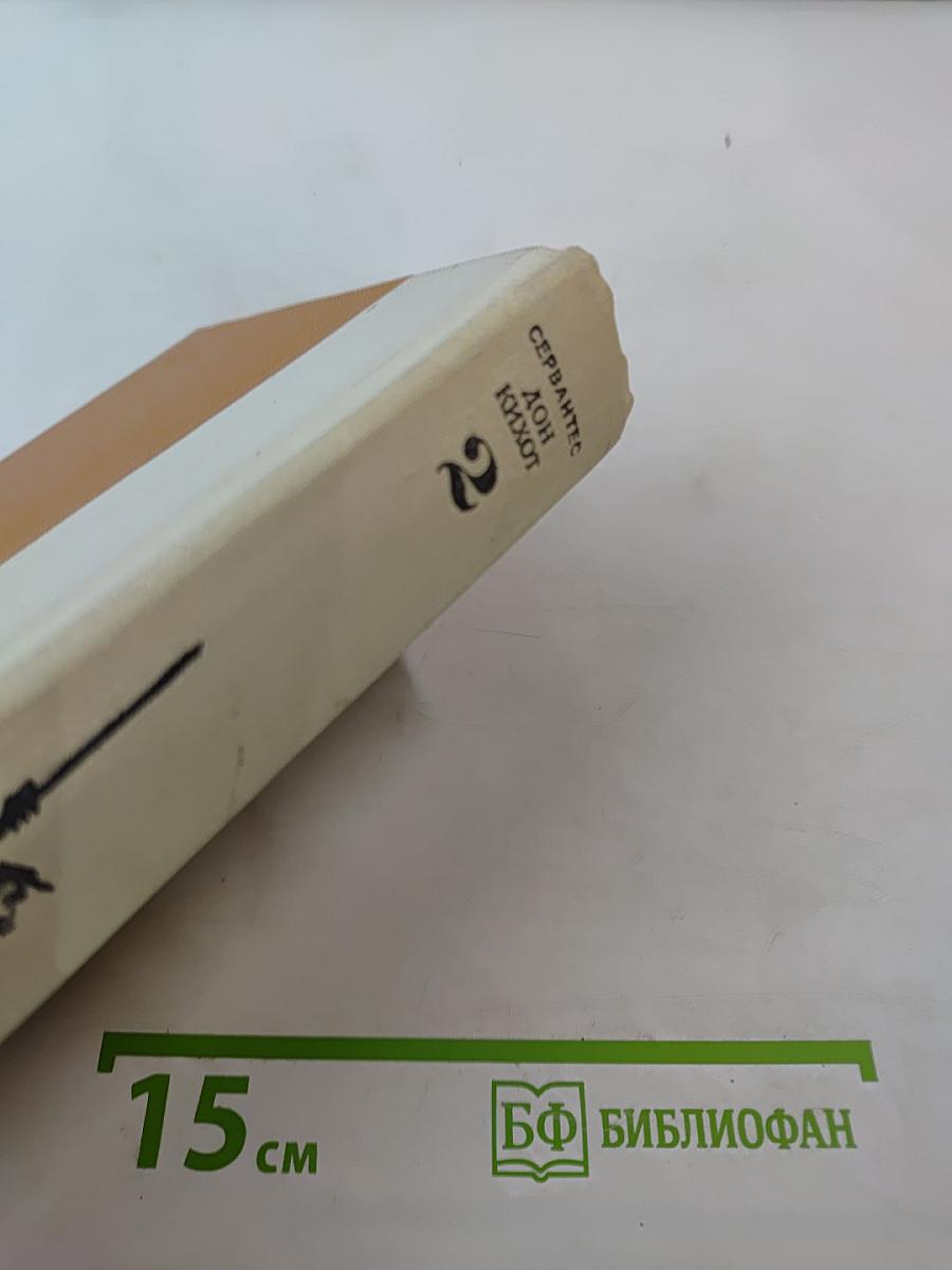 Дон Кихот Ламанчский, Часть вторая