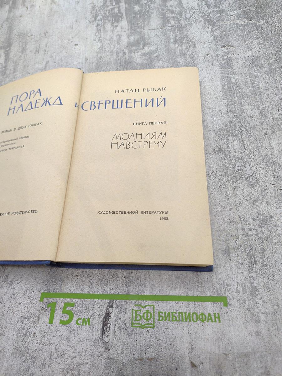 Пора надежд и свершений. Книга первая. Молниям навстречу