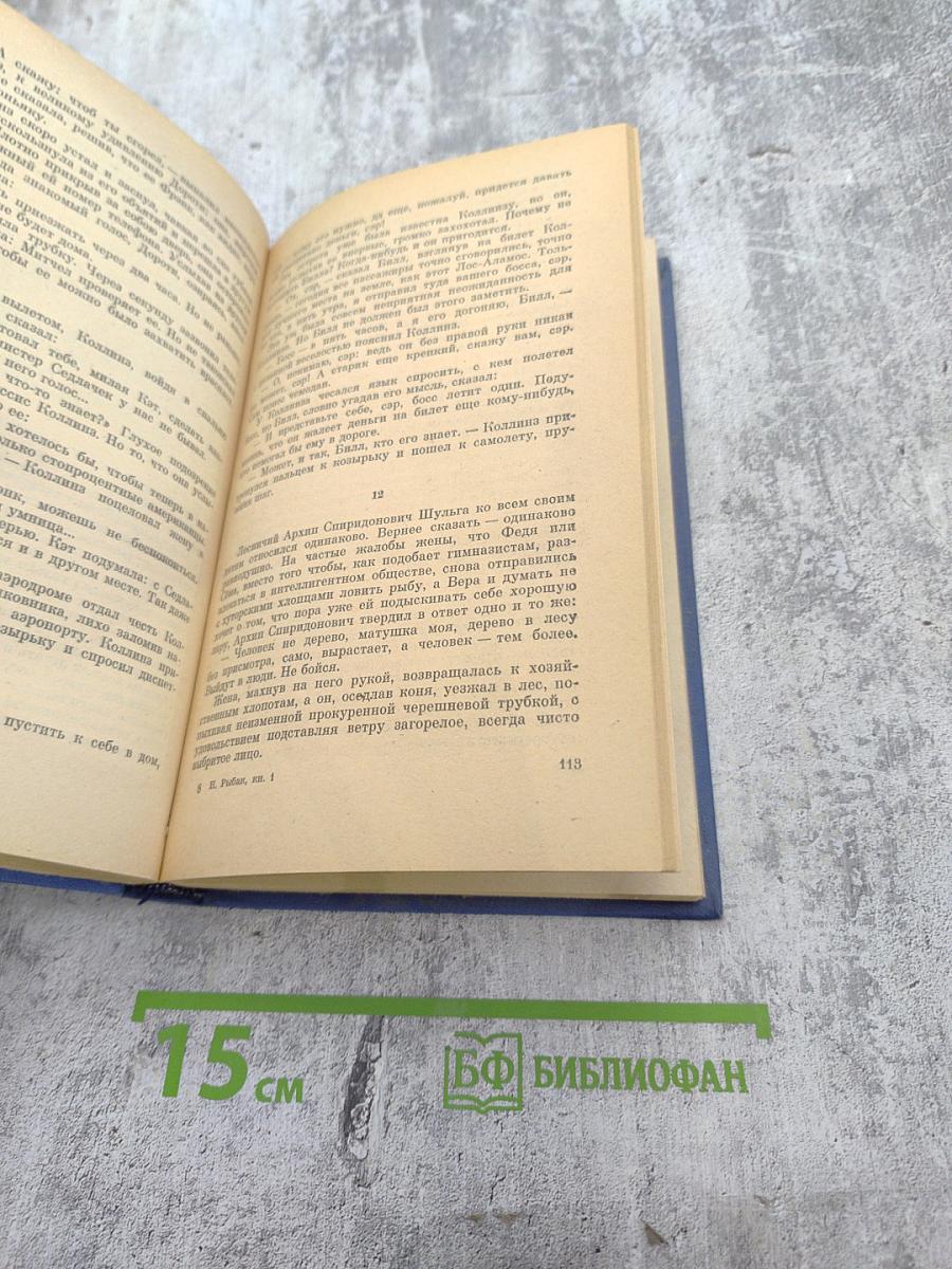 Пора надежд и свершений. Книга первая. Молниям навстречу