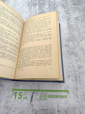 Пора надежд и свершений. Книга первая. Молниям навстречу