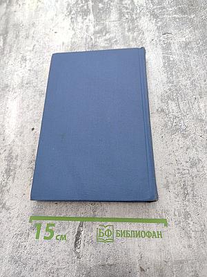 Пора надежд и свершений. Книга первая. Молниям навстречу