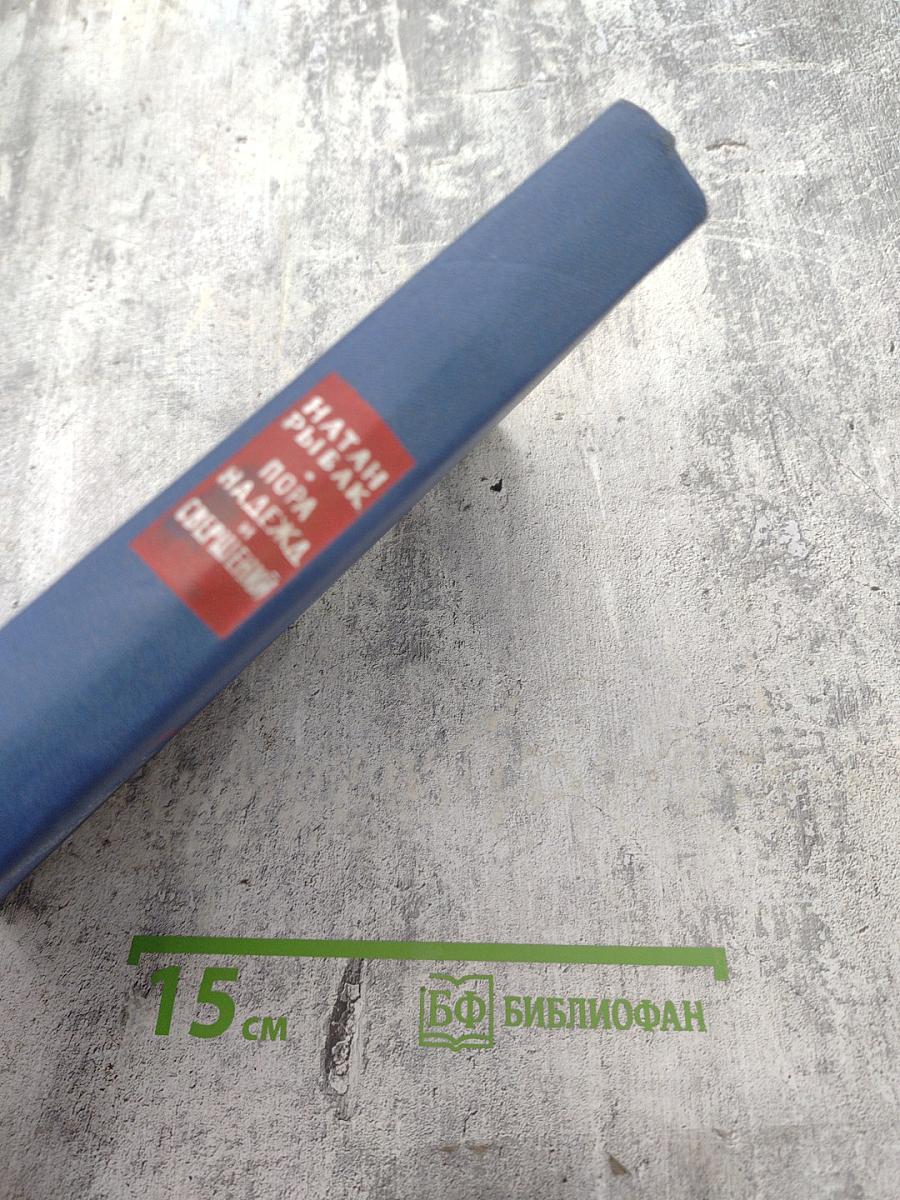 Пора надежд и свершений. Книга первая. Молниям навстречу