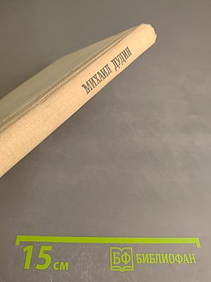 Где наша не пропадала