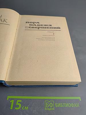 Пора надежд и свершений. Книга вторая. Солдаты без мундиров
