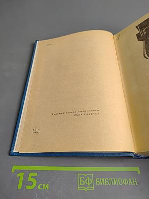 Пора надежд и свершений. Книга вторая. Солдаты без мундиров