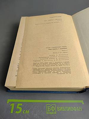 Пора надежд и свершений. Книга вторая. Солдаты без мундиров