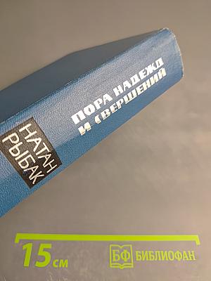 Пора надежд и свершений. Книга вторая. Солдаты без мундиров