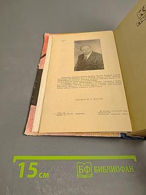 Когда молчит совесть