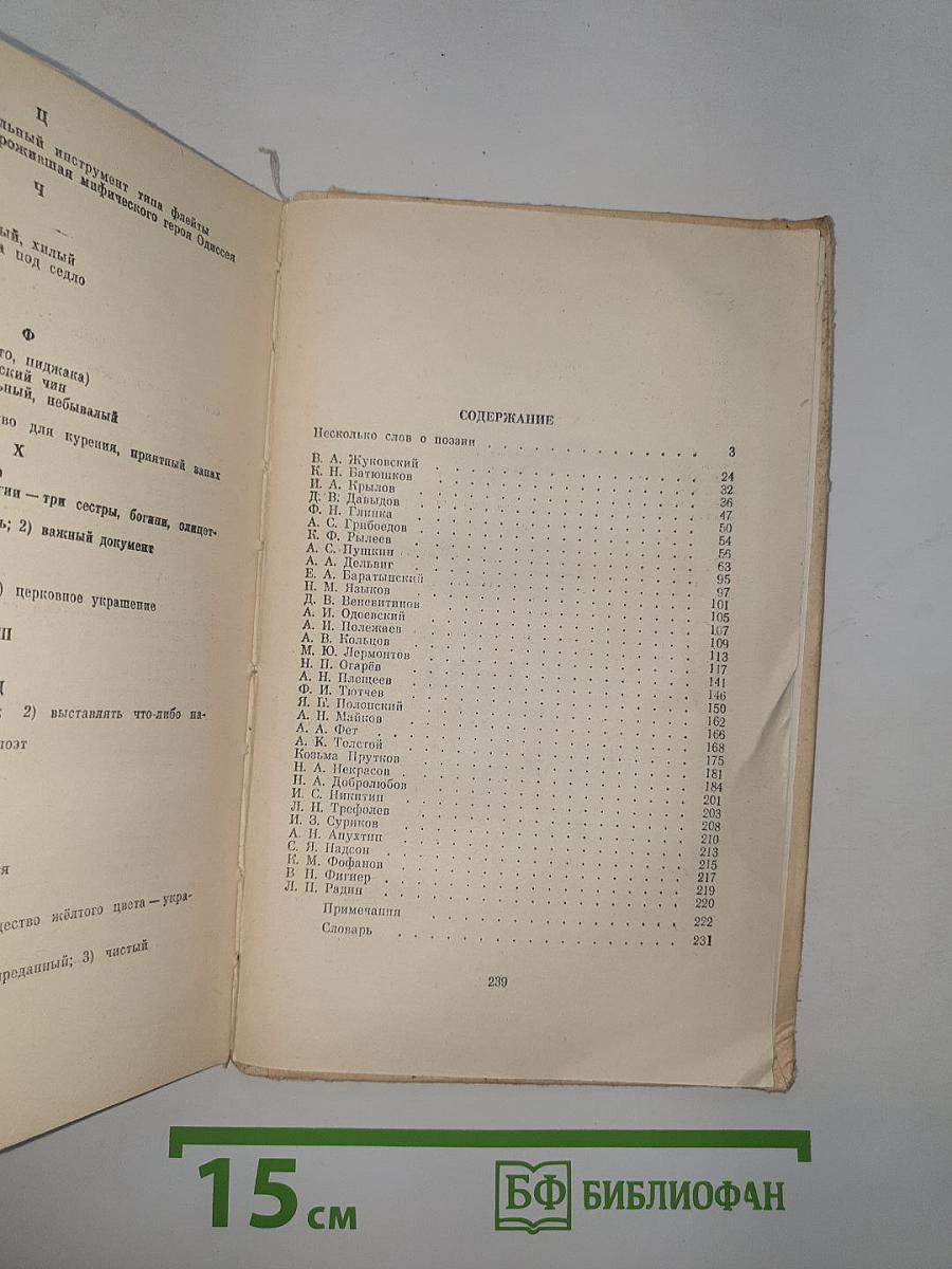 Русская поэзия XIX в.