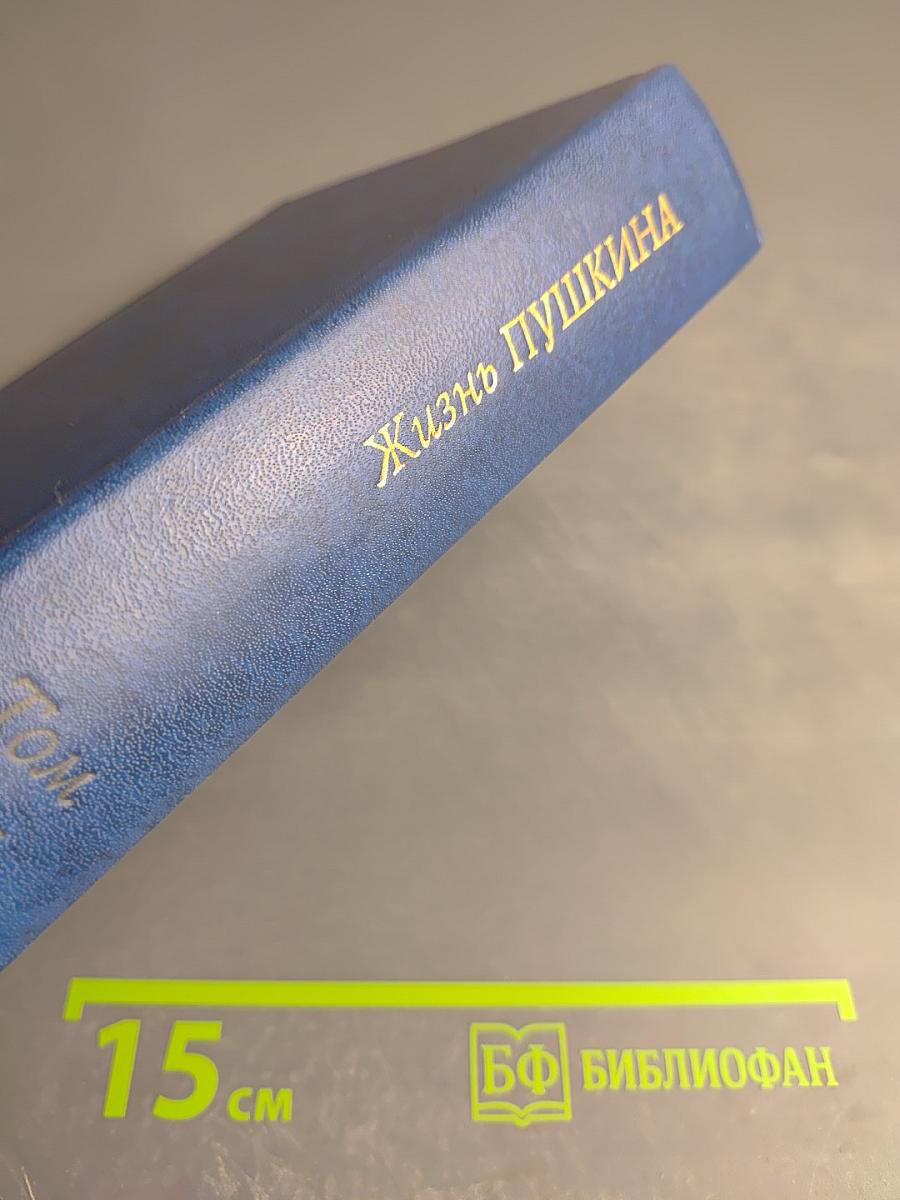 Жизнь Пушкина, рассказанная им самим и его современниками. Том второй