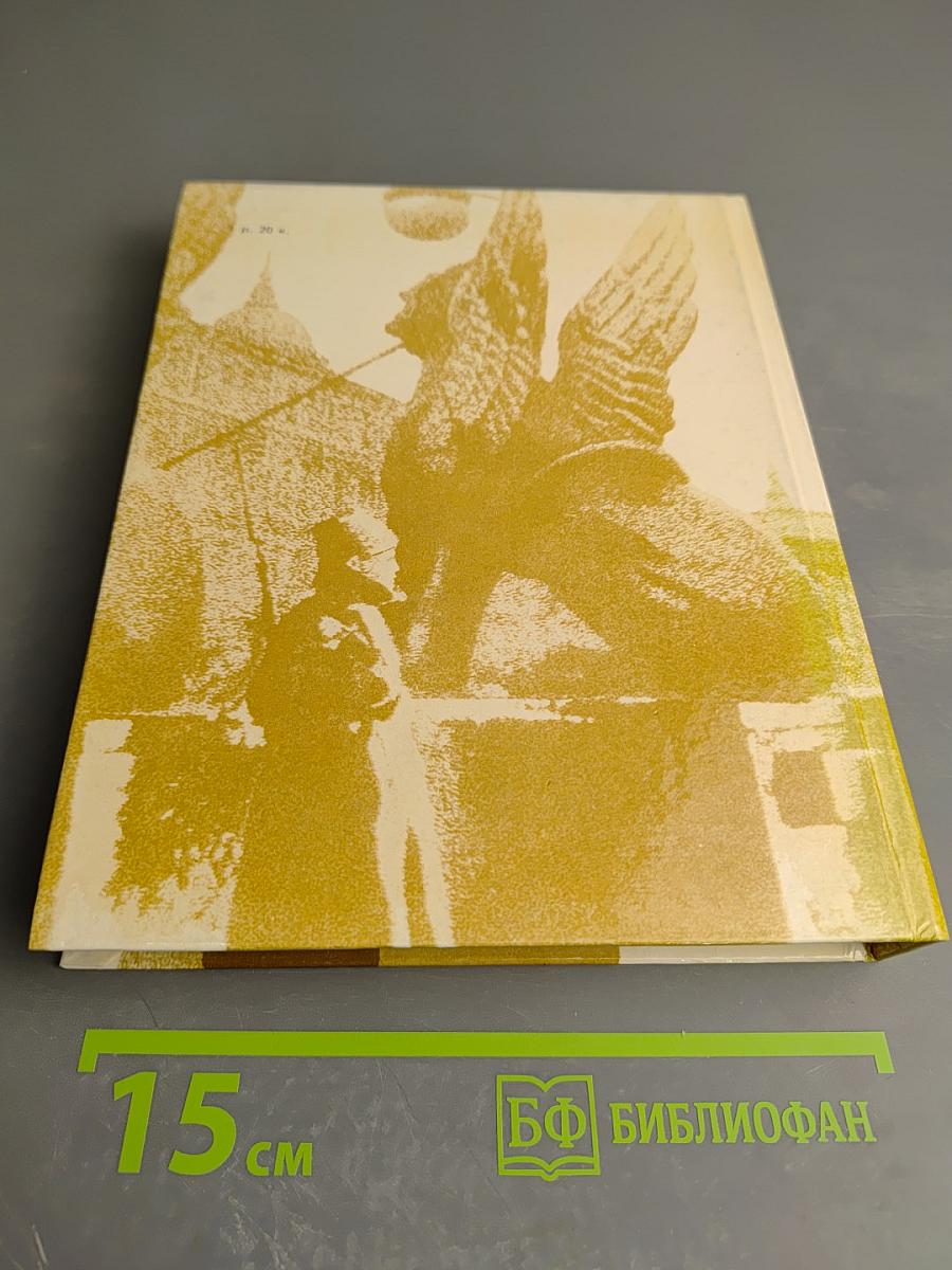 Чекисты Петрограда на страже революции. Книга 1