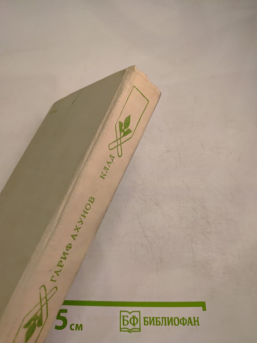 Клад. Роман и повесть