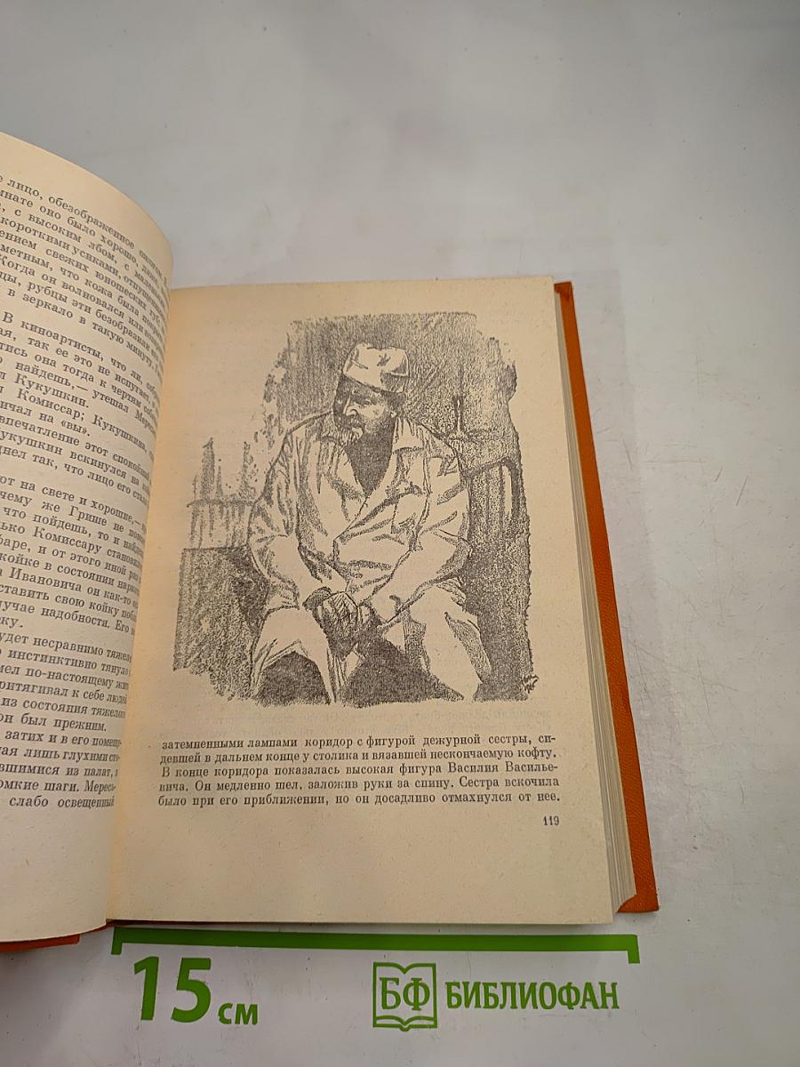 Повесть о настоящем человеке; Спутники