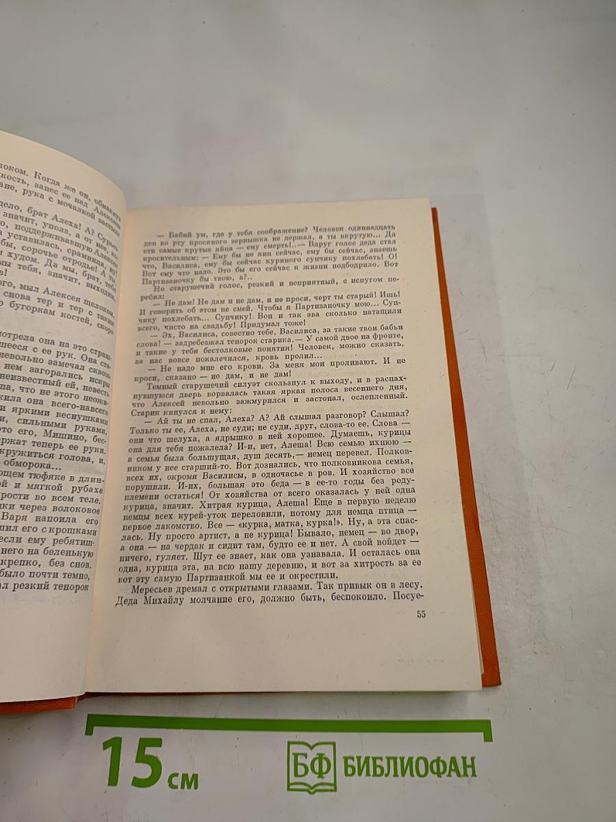 Повесть о настоящем человеке; Спутники