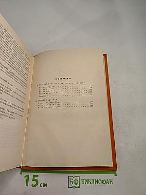 Повесть о настоящем человеке; Спутники