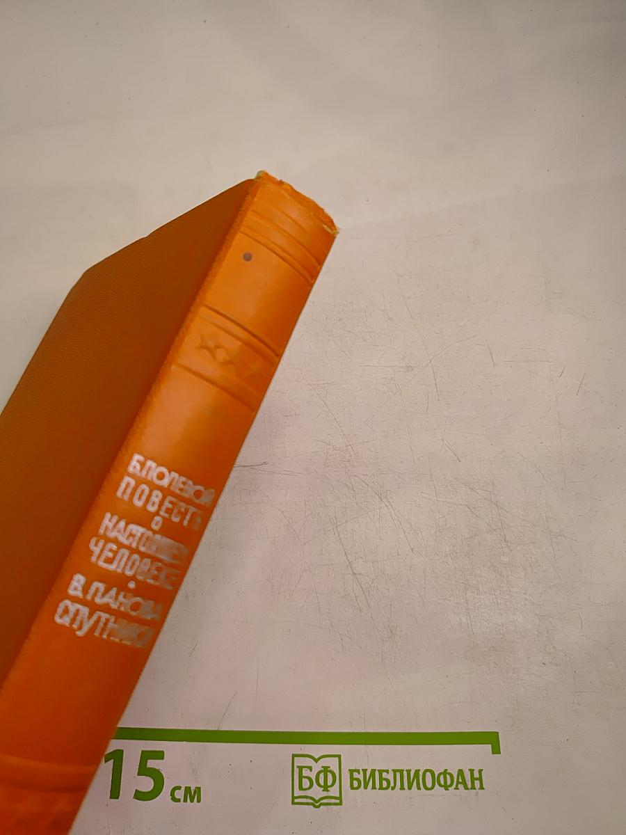 Повесть о настоящем человеке; Спутники