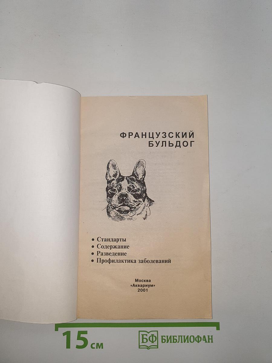 Французский бульдог