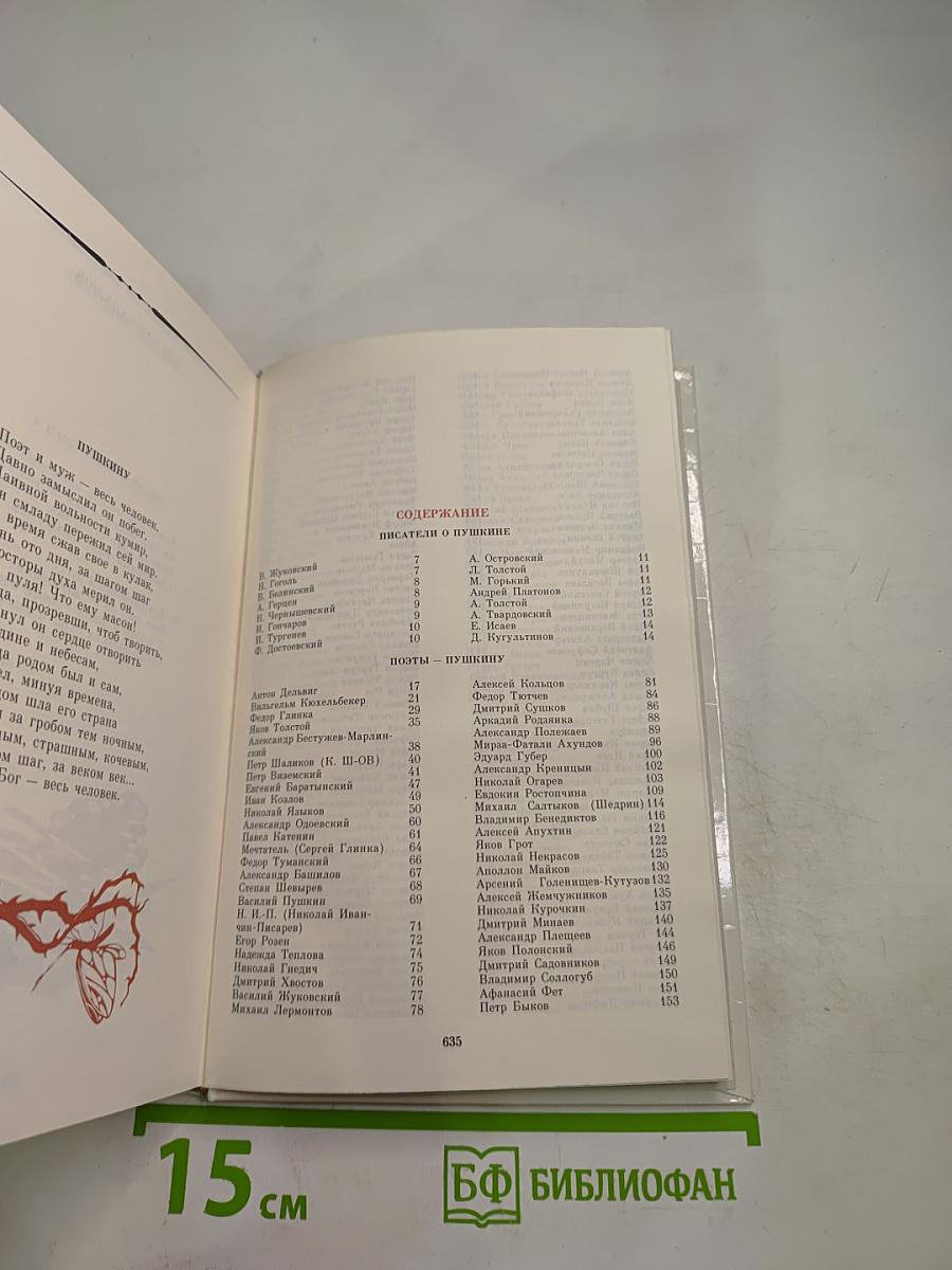 России первая любовь. Писатели о Пушкине