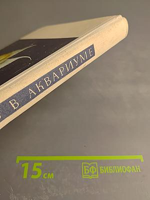 Жизнь в аквариуме