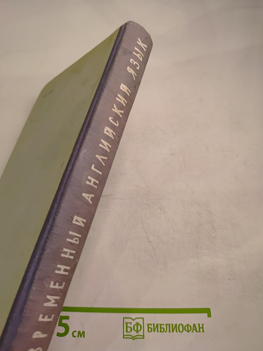 Современный английский язык. Теоретический курс грамматики