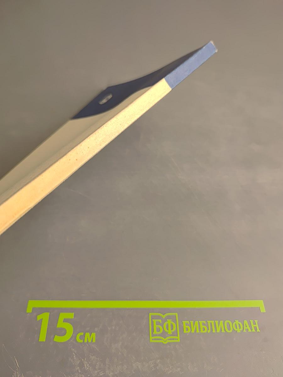 Д. В. Григорович — писатель и искусствовед