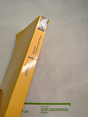 Находка в Сверкающей Звезде