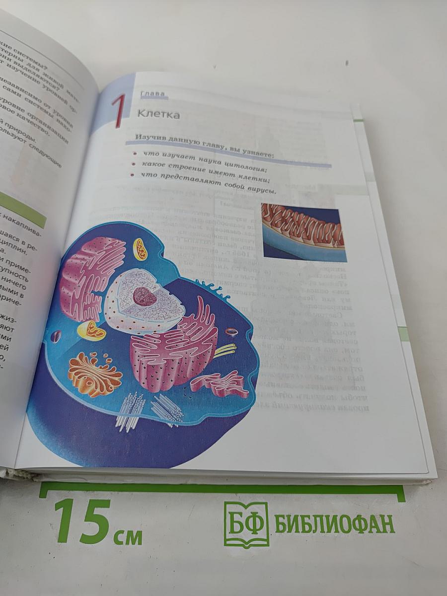 Биология. Общая биология 10–11 классы