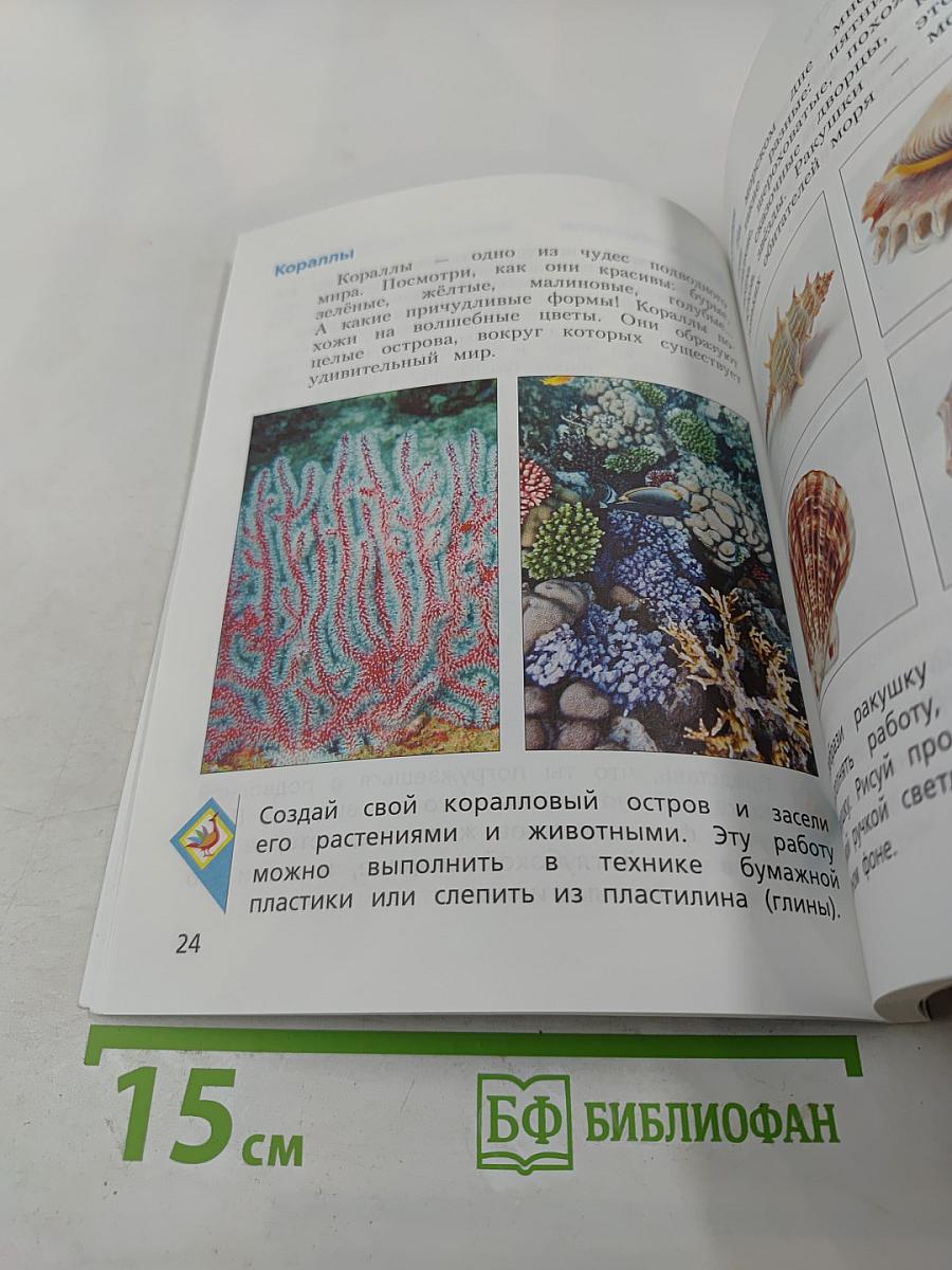 Изобразительное искусство. 3 класс