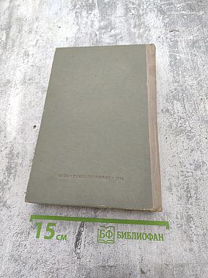 Краткий философский словарь