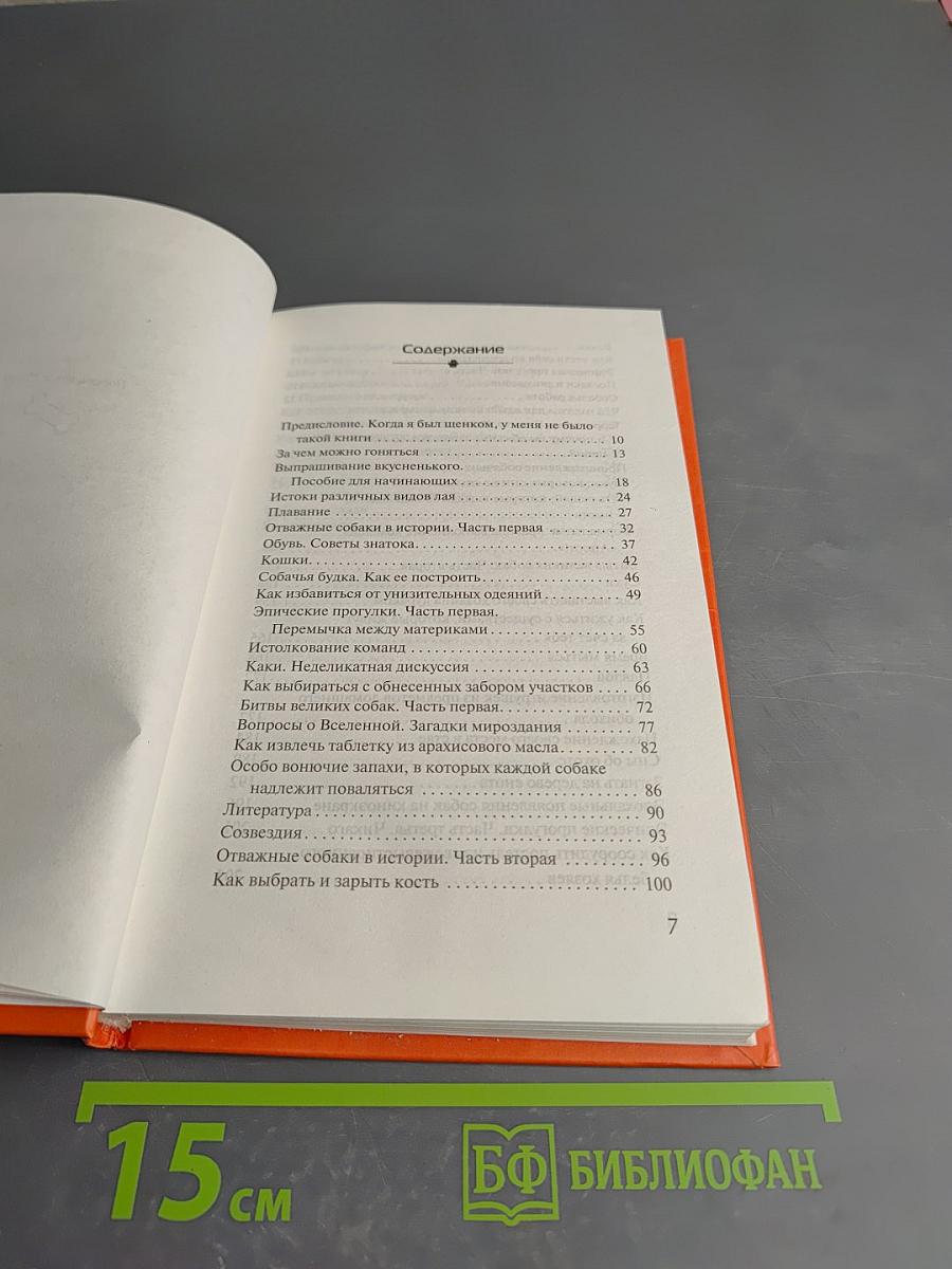 Все, что вы хотели знать о собаках, но боялись спросить