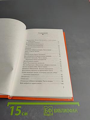 Все, что вы хотели знать о собаках, но боялись спросить