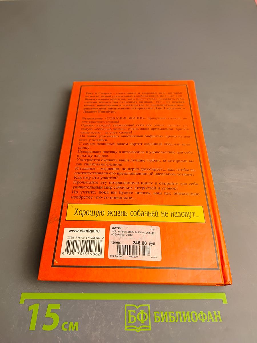 Все, что вы хотели знать о собаках, но боялись спросить