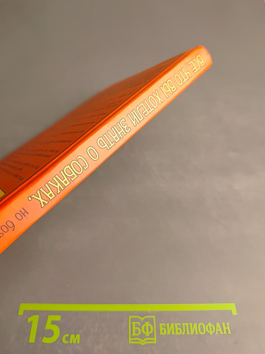 Все, что вы хотели знать о собаках, но боялись спросить