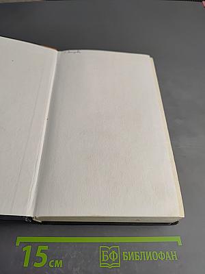 Академия вампиров. Книга четвертая. Кровавые обещания