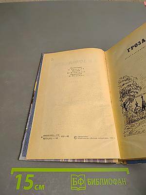 Гроза. Бесприданница