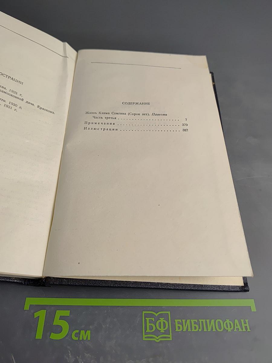 Жизнь Клима Самгина. 1925 – 1936. Том 21