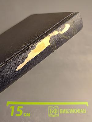 Жизнь Клима Самгина. 1925 – 1936. Том 21