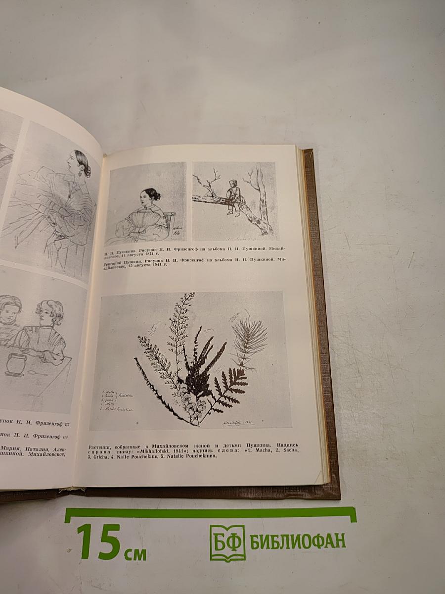 Сегольвацкие находки