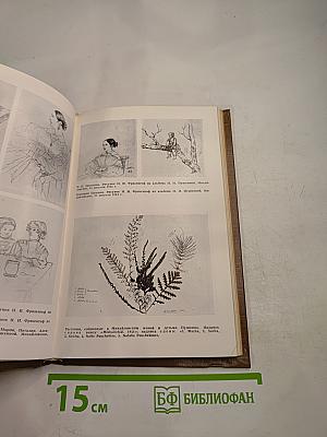 Сегольвацкие находки