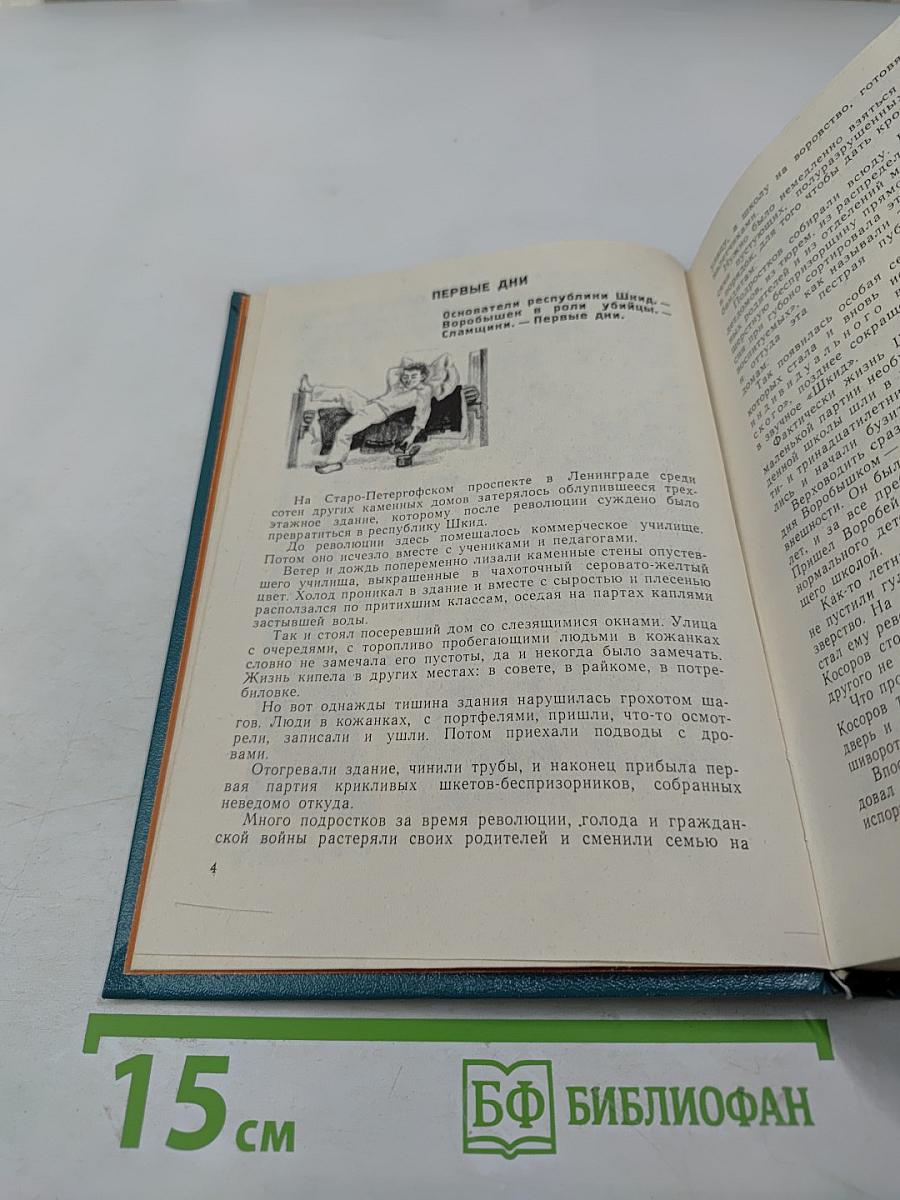 Республика ШКИД. Повесть