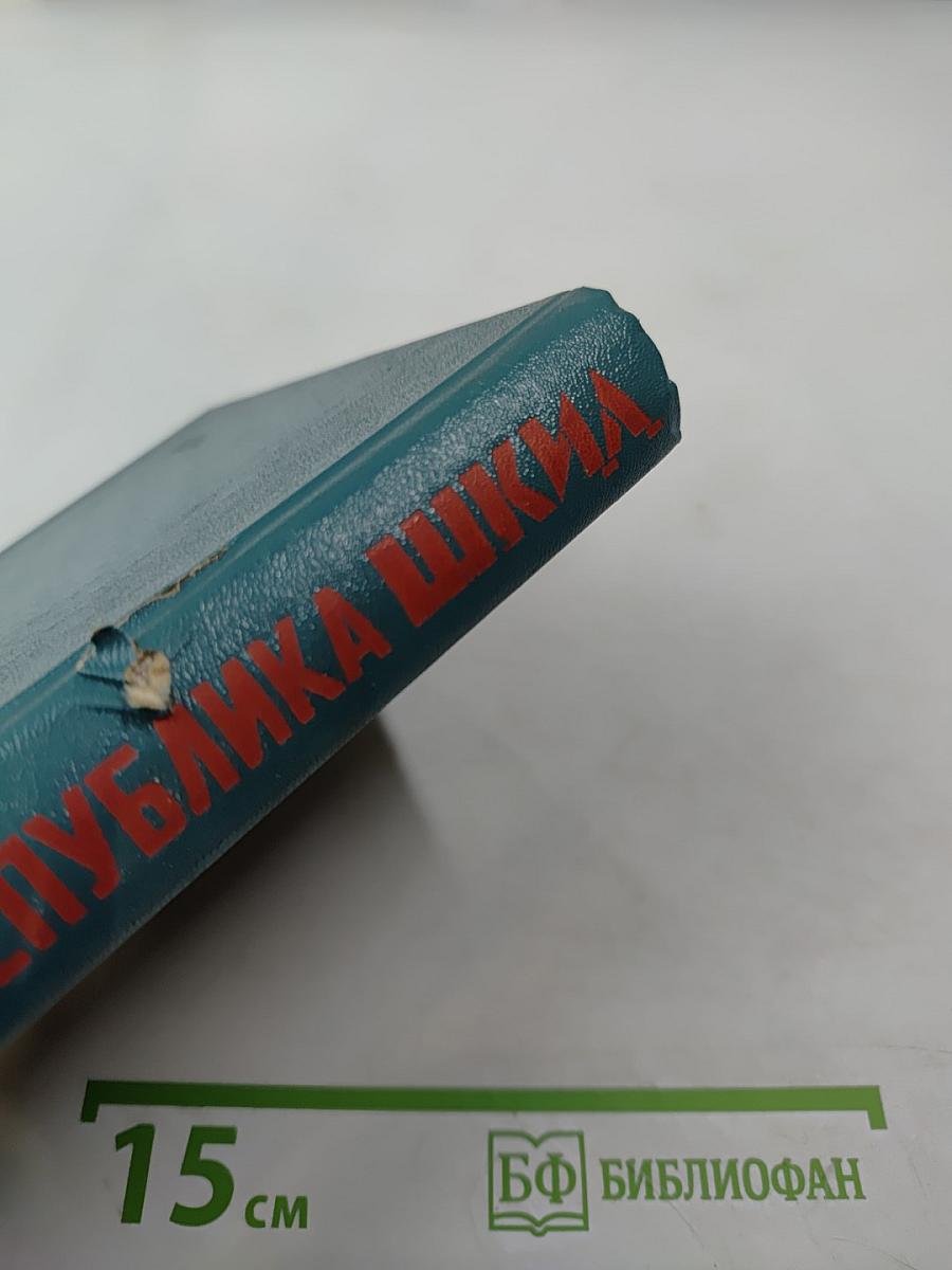 Республика ШКИД. Повесть