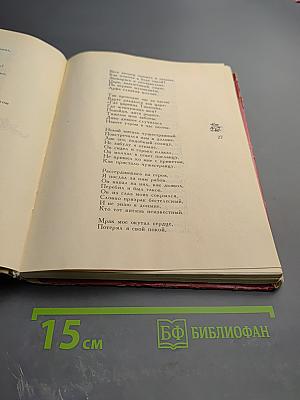 Витязь в тигровой шкуре. Поэма