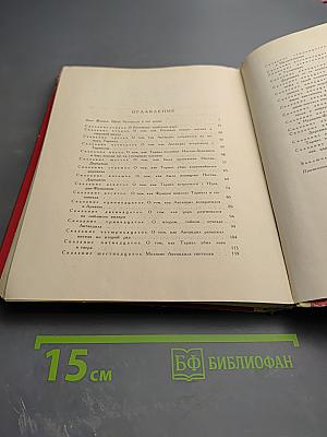 Витязь в тигровой шкуре. Поэма