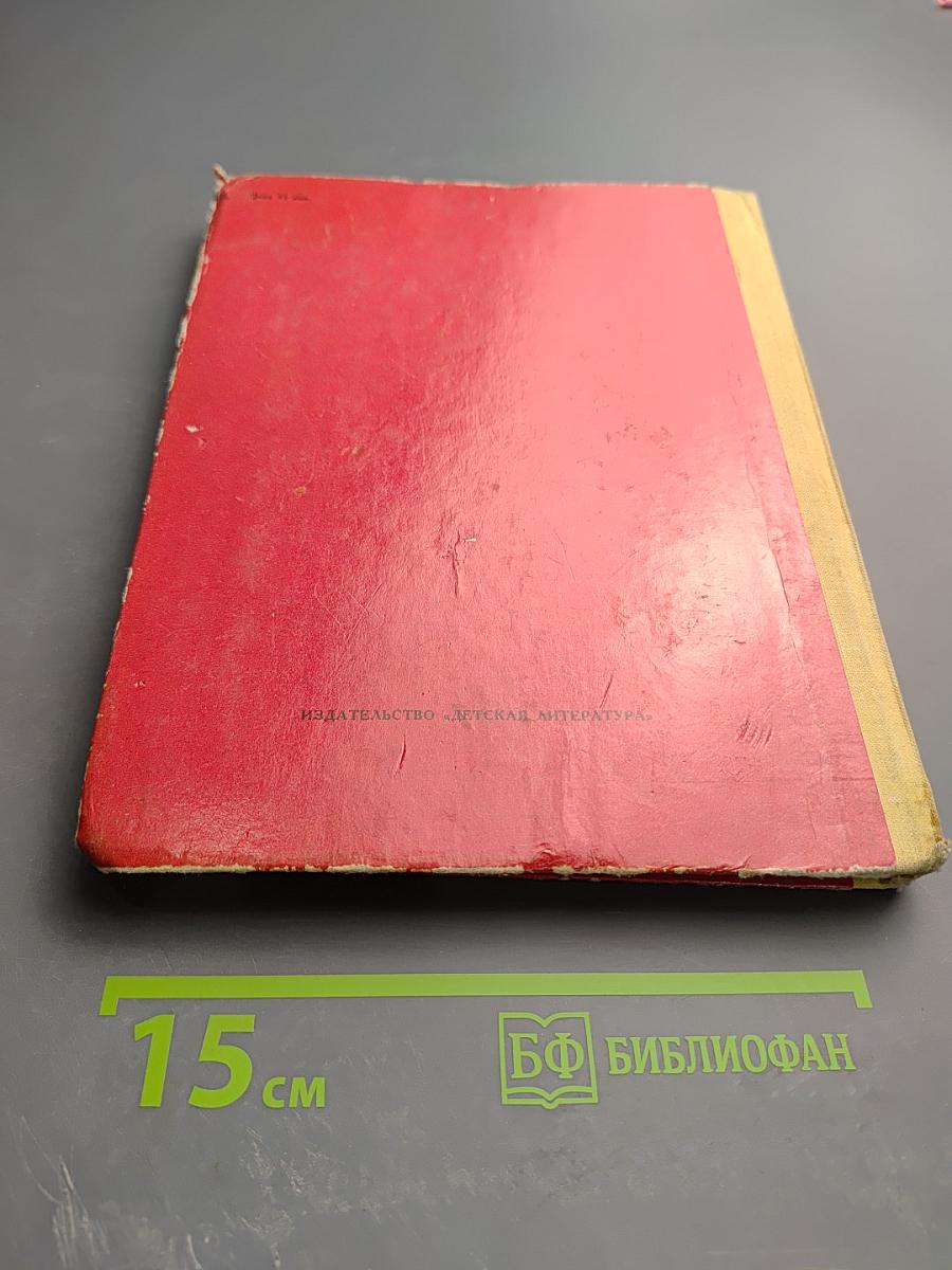 Витязь в тигровой шкуре. Поэма